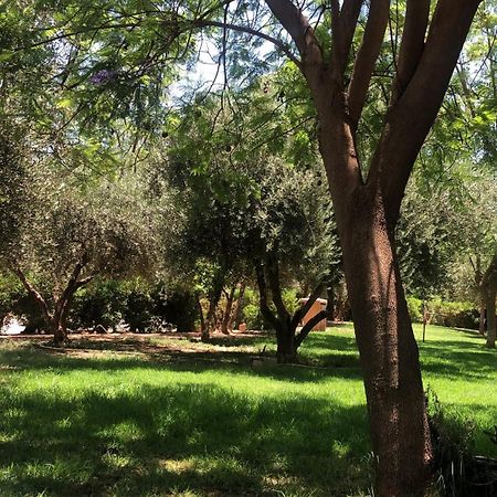 Palmeraie Village 2 - Cosi Appartement En Rez De Jardin Марракеш Экстерьер фото