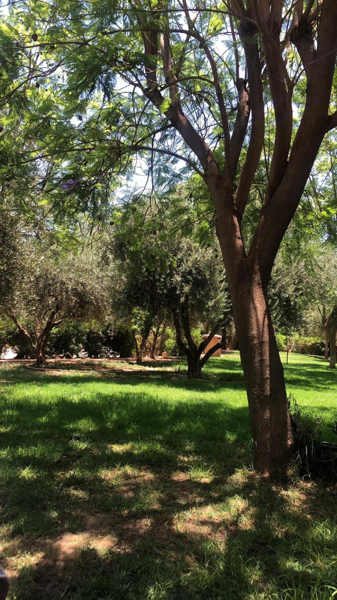 Palmeraie Village 2 - Cosi Appartement En Rez De Jardin Марракеш Экстерьер фото